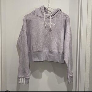 Adidas Women's Light Gray Hoodie